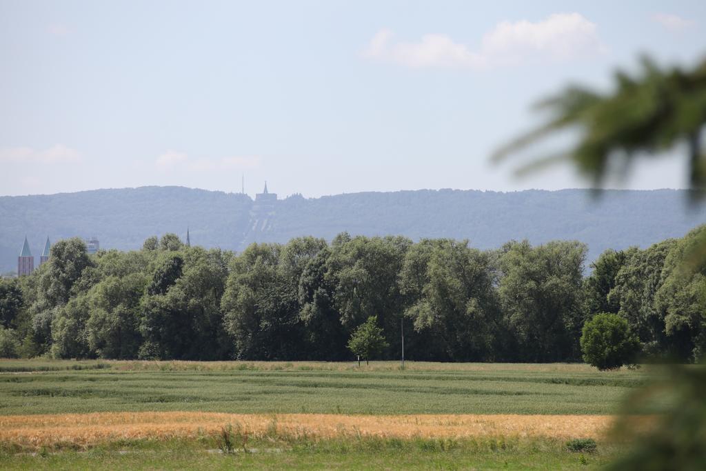 Art City Studio Kassel 2 מראה חיצוני תמונה